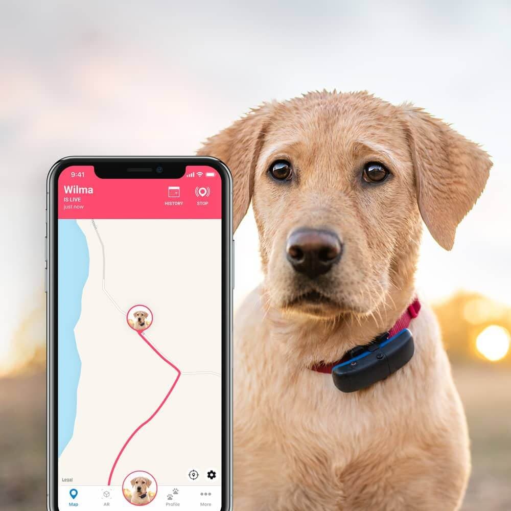 مکان‌یابی و ردیابی حیوانات خانگی با Tractive
