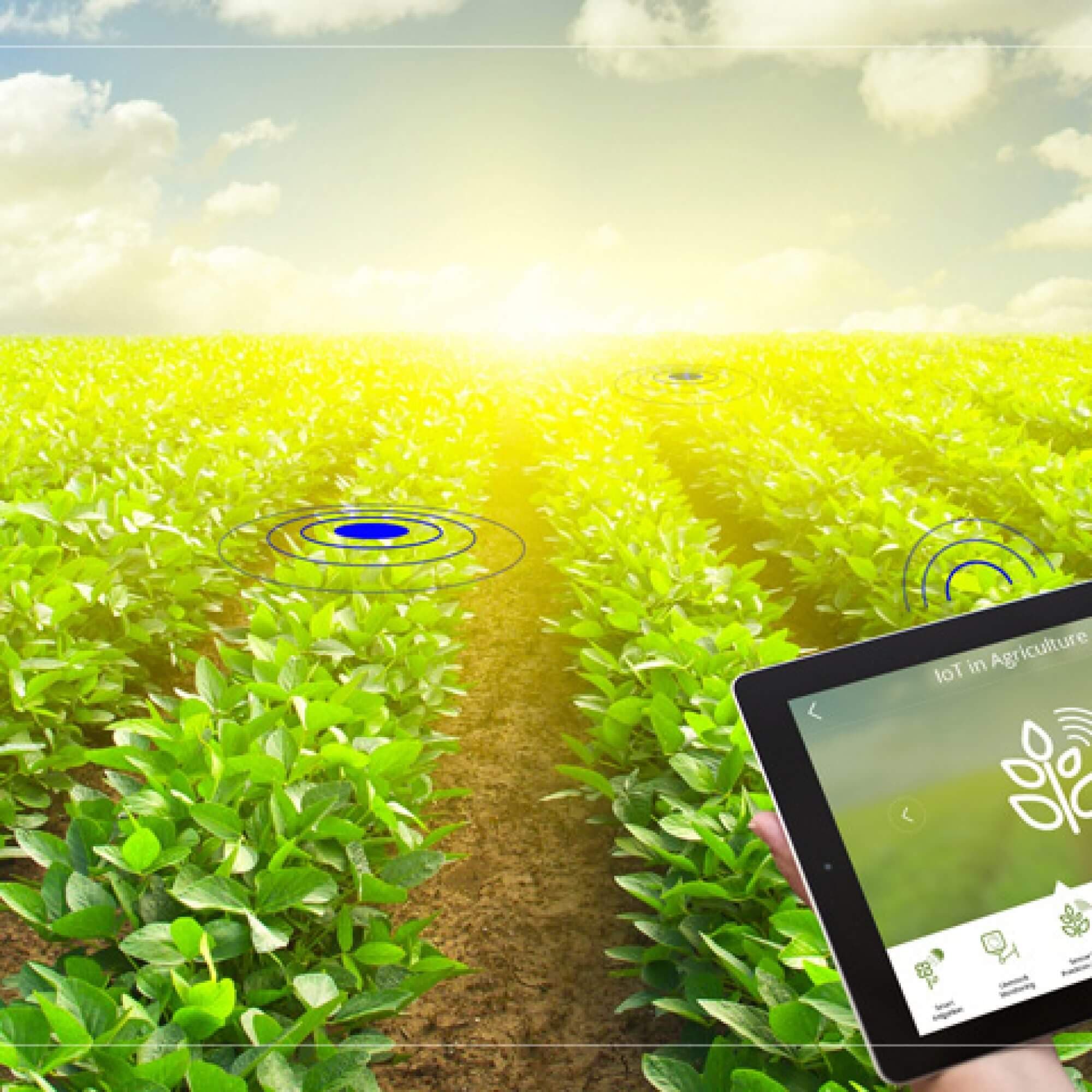 IoT برای کشاورزی دیجیتال