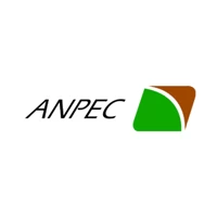 Anpec Elec
