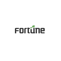Fortune Semicon